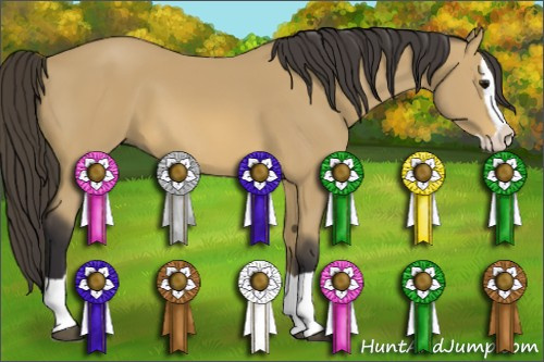 Horse Color: Buckskin Splash 