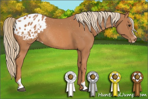 Horse Color: Chestnut Sabino Blanket Rabicano 