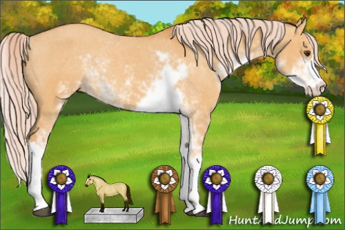 Horse Color: Chocolate Palomino Dun Sabino Varnish Rabicano 