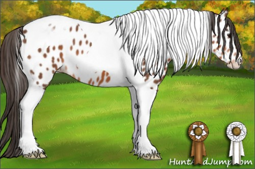 Horse Color: Bay Tobiano Near Leopard 