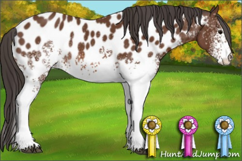 Horse Color: White Spotted Bay Near Leopard 