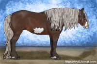 Horse Color:Silver Bay Frame 