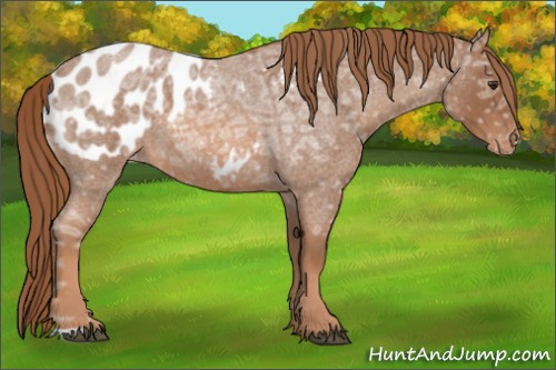 Horse Color: Liver Red Ice Roan Blanket 