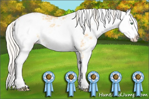 Horse Color: Silver Amber Cream Champagne Ice Dun Sabino Rabicano 