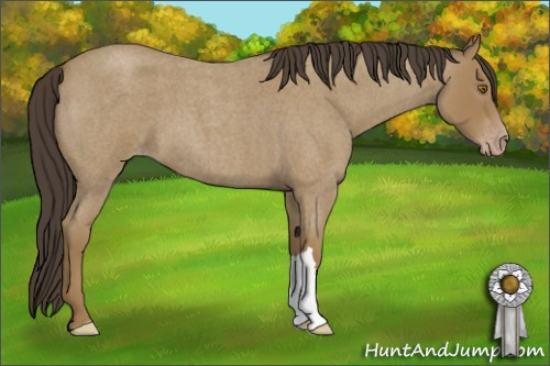 Horse Color: Sable Cream Champagne Roan 