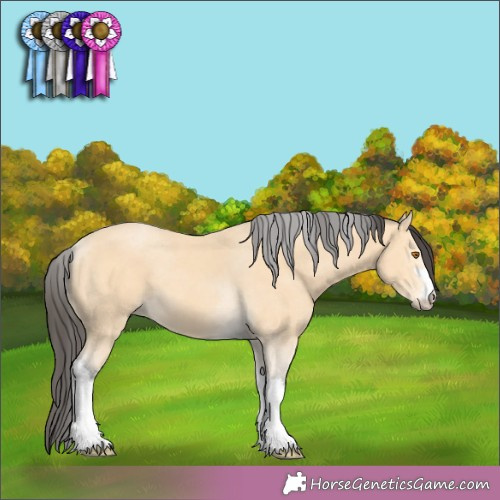 Horse Color:Pseudo Buckskin Tobiano 