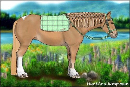 Horse Color: Chestnut Tobiano 