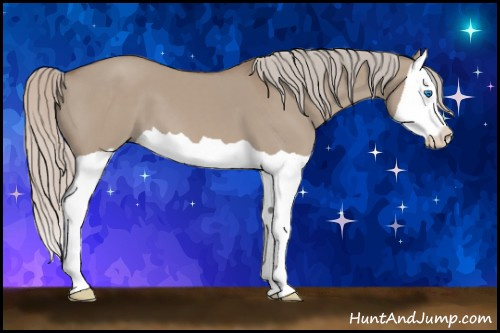 Horse Color: Silver Grullo Splash 