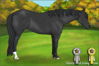 Horse Color:Brown 