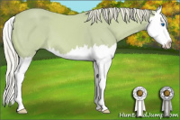 Horse Color:Watercolor Palomino Splash 