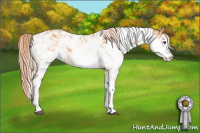 Horse Color:Chocolate Palomino Sabino Rabicano