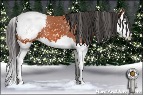 Horse Color: Bay Splash Snowcap 