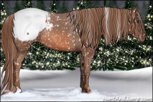 Horse Color: Liver Chestnut Snowcap 
