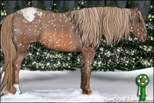 Horse Color: Liver Chestnut Snowcap 