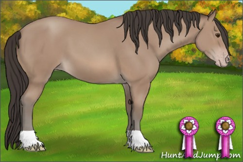 Horse Color: Classic Champagne 