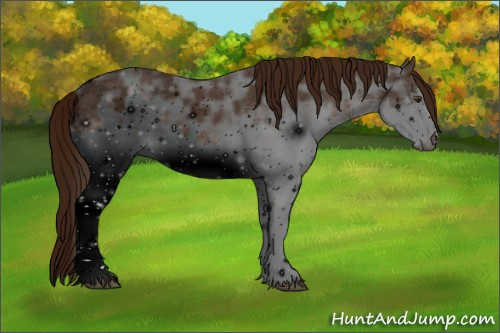 Horse Color: ERROR: UNKNOWN ANOMALY