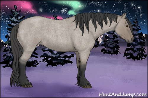Horse Color: Brown Roan Dun Rabicano 