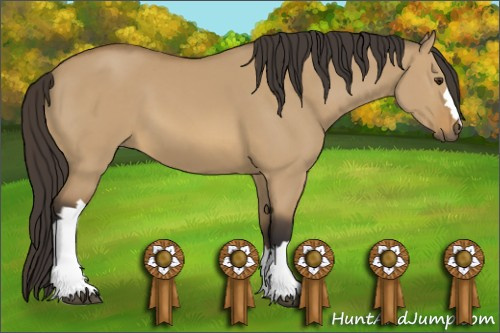 Horse Color: Buckskin Dun 