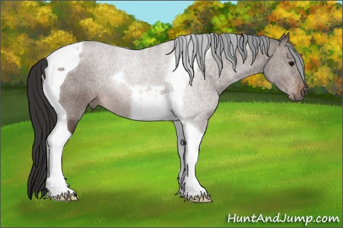 Horse Color: Brown Tobiano 