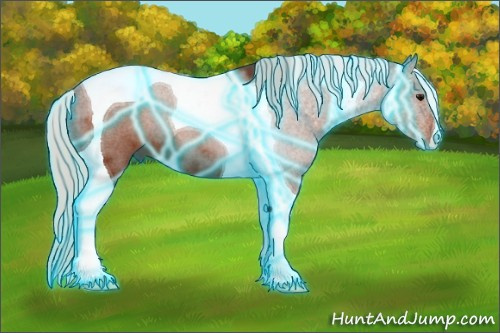 Horse Color: Thunderstruck Silver Bay Tobiano 