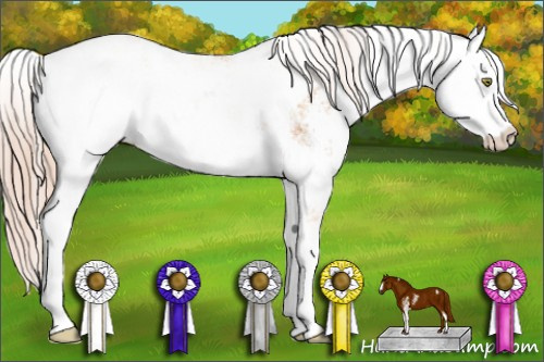 Horse Color: Gold Champagne Sabino 