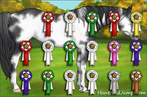 Horse Color: Black Sabino Frame 