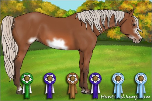 Horse Color: Silver Bay Sabino Frame 
