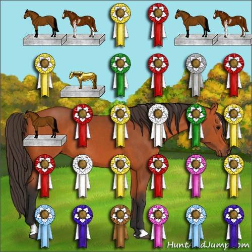 Horse Color: Bay Sabino 