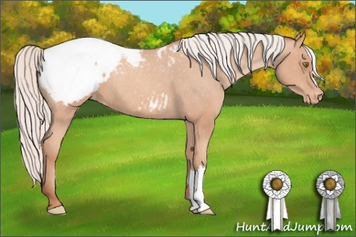 Horse Color: Silver Amber Champagne Snowcap 