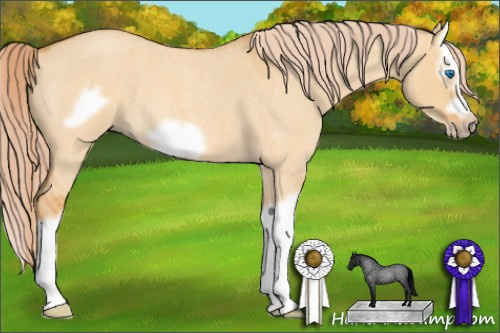 Horse Color: Chocolate Palomino Roan Dun Splash Frame 