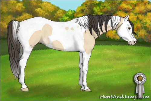 Horse Color: Buckskin Dun Splash Tobiano 
