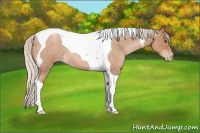 Horse Color:Silver Blue Roan Pearl Tobiano 