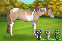 Horse Color:Black Pearl Sabino Tobiano 
