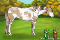 Horse Color:White Spotted Black Pearl Sabino 