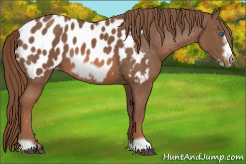Horse Color: Liver Chestnut Frame Blanket 