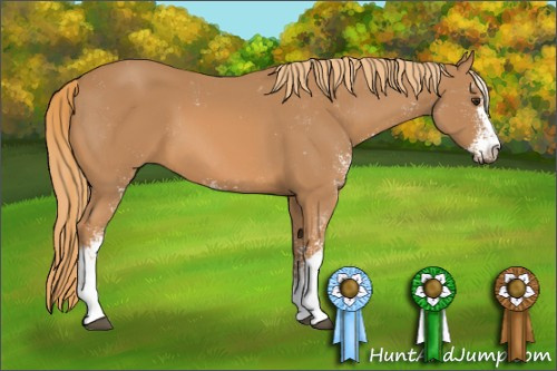 Horse Color: Chestnut Sabino 