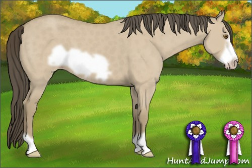 Horse Color: Classic Cream Champagne Dun Frame 