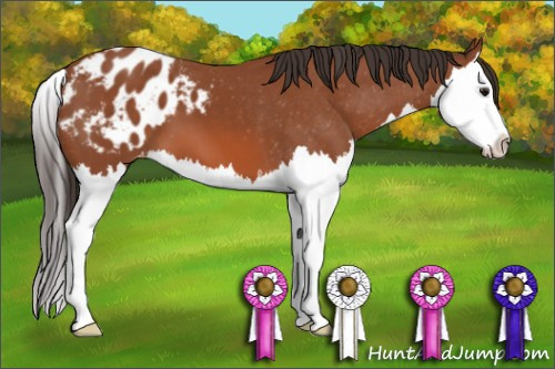 Horse Color: Bay Splash Blanket 