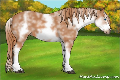 Horse Color: White Spotted Red Roan Splash Frame 