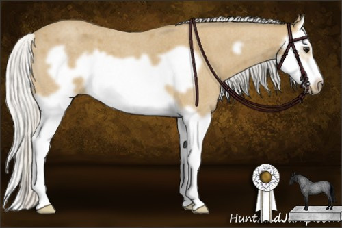 Horse Color: Silver Buckskin Roan Splash Frame 