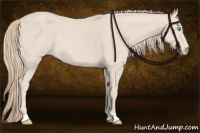 Horse Color:Smoky Creme 
