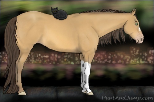 Horse Color: Amber Cream Champagne 