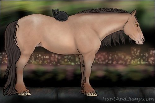 Horse Color: Amber Champagne Roan 