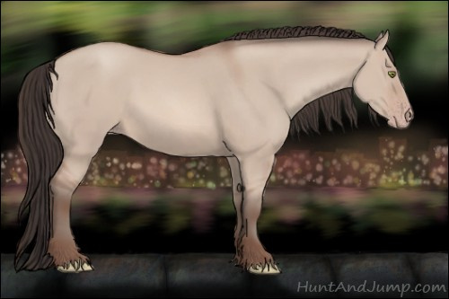 Horse Color: Amber Champagne Dun 