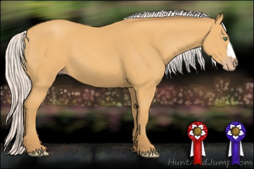 Horse Color: Silver Sable Cream Champagne 