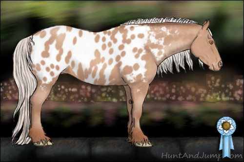 Horse Color: Silver Sable Champagne Blanket 