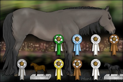 Horse Color: Black 