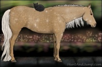 Horse Color:Silver Smoky Black 