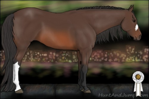 Horse Color: Brown 