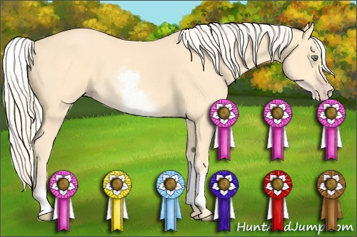 Horse Color: White Spotted Gold Cream Champagne 
